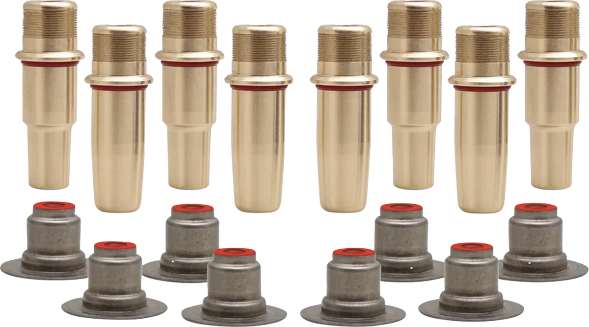Valve Guide Kit