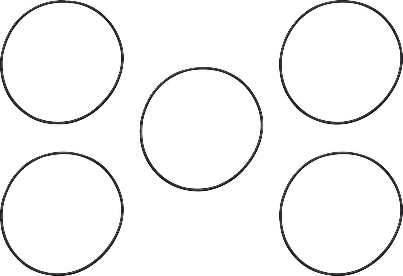 Derby/Inspection Cover Seal Kit