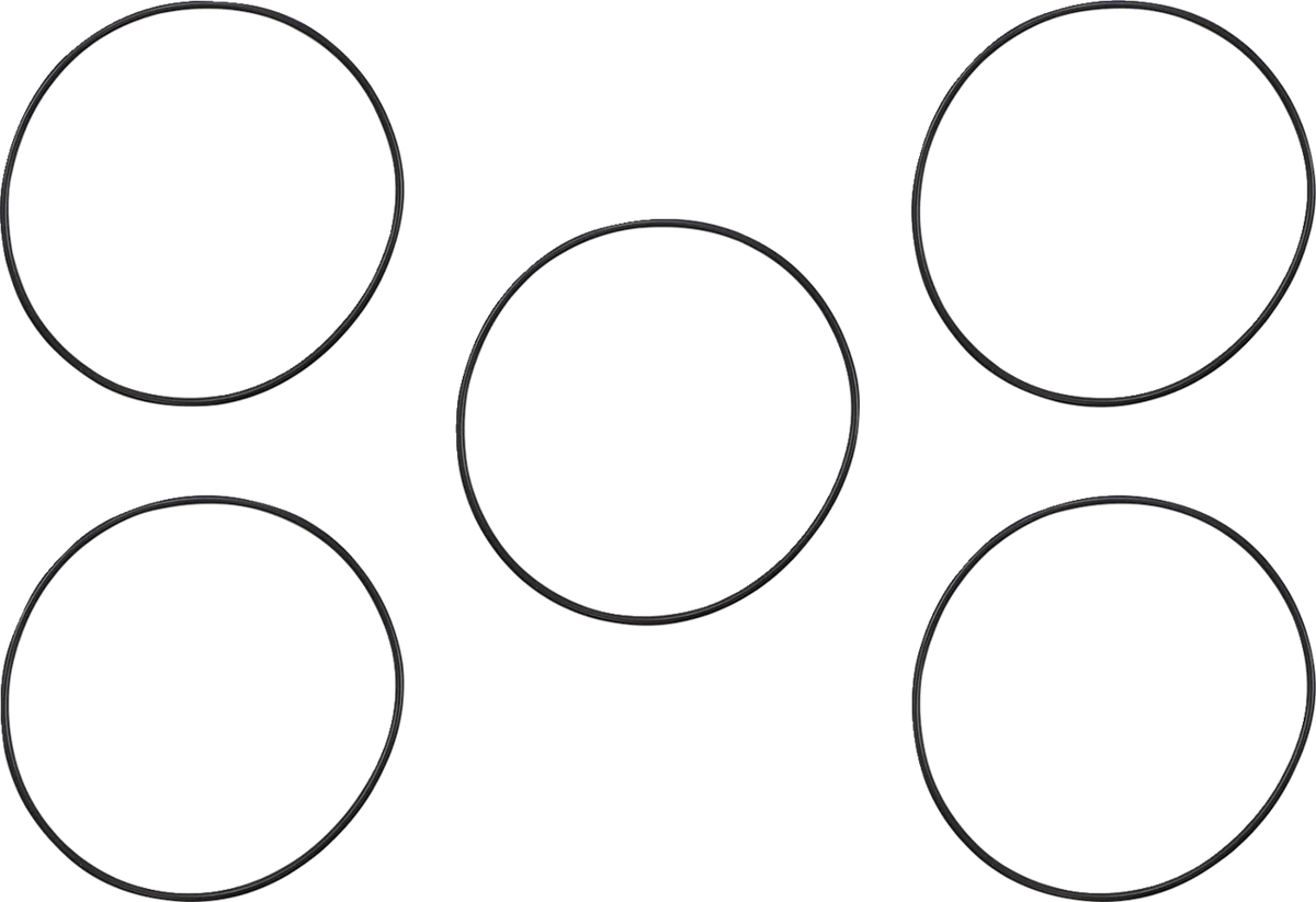 Derby/Inspection Cover Seal Kit