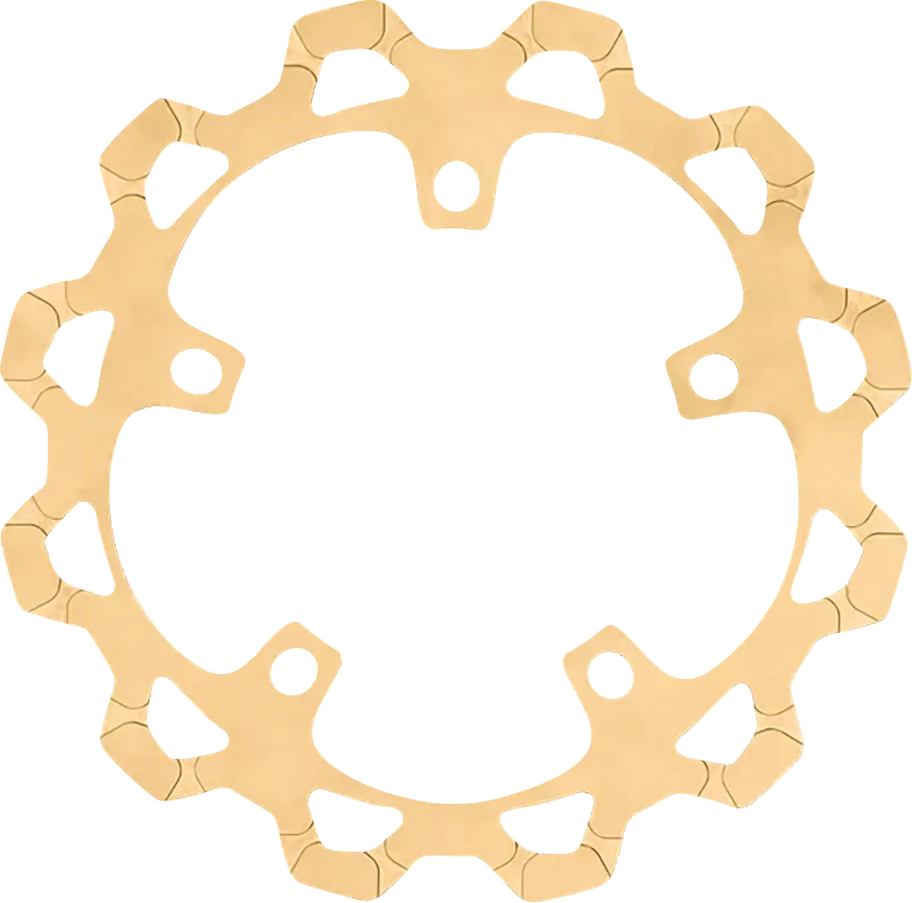 Front Brake Rotor