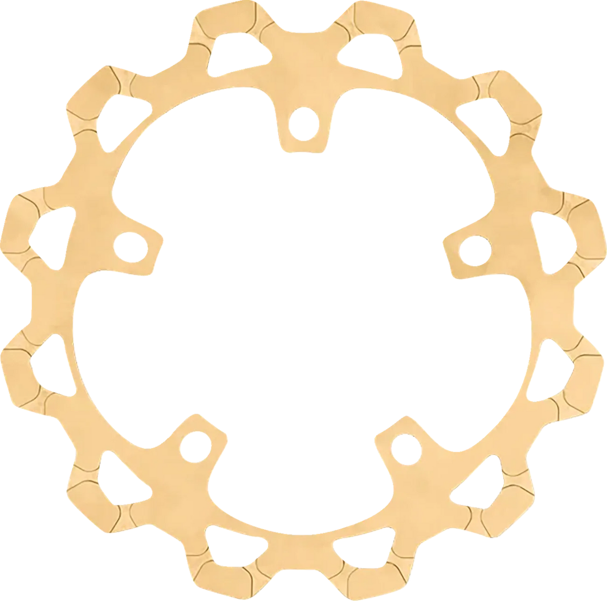 Front Brake Rotor