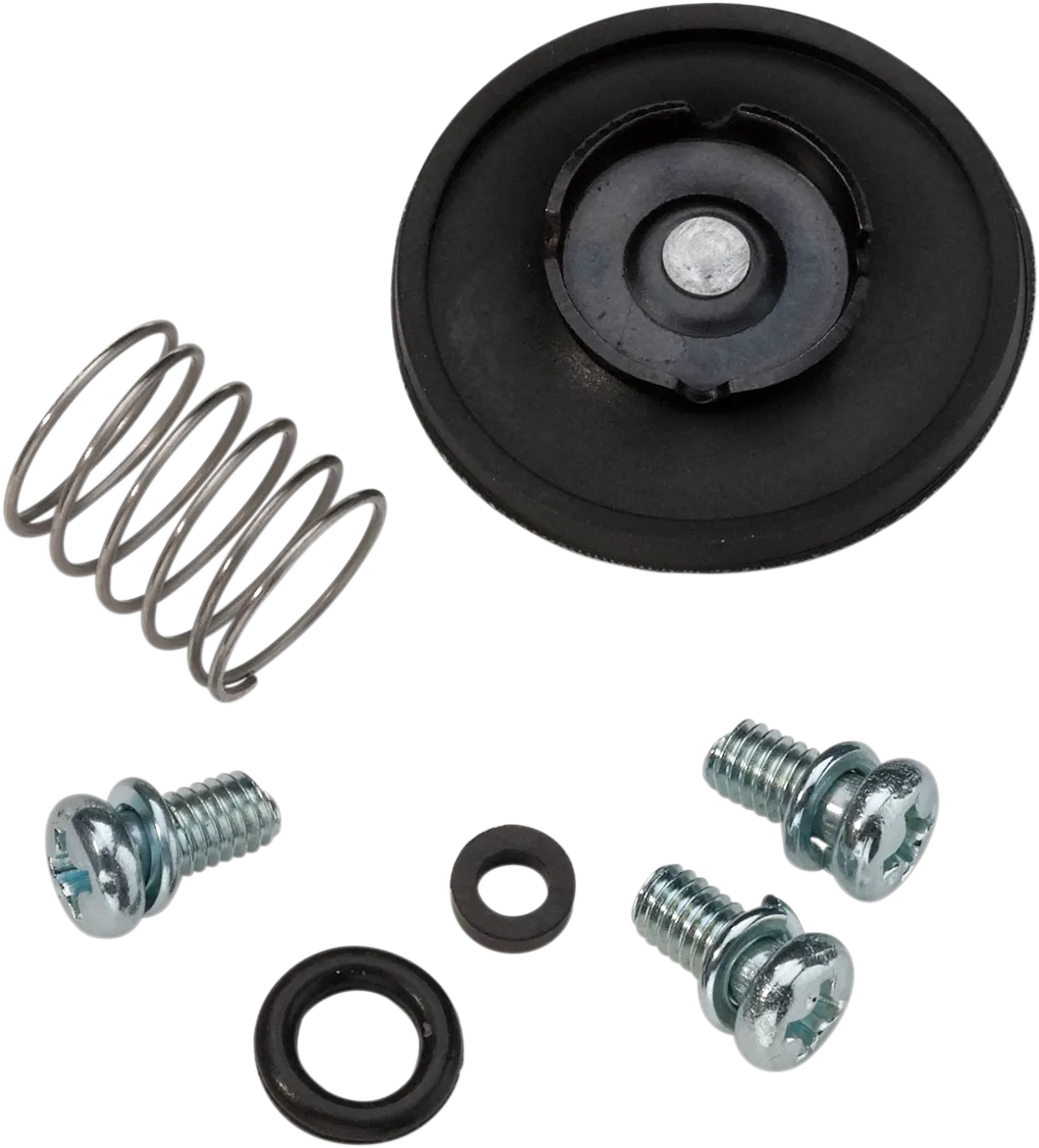 Accelerator Pump Rebuild Kit