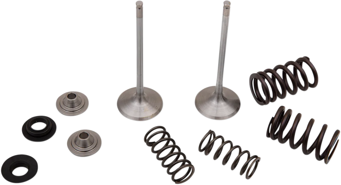 Intake Valve and Spring Kit