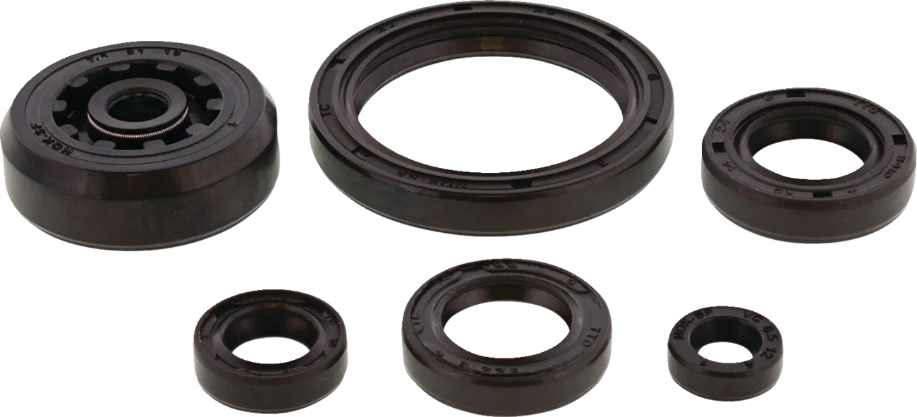 Oil Seal Kit