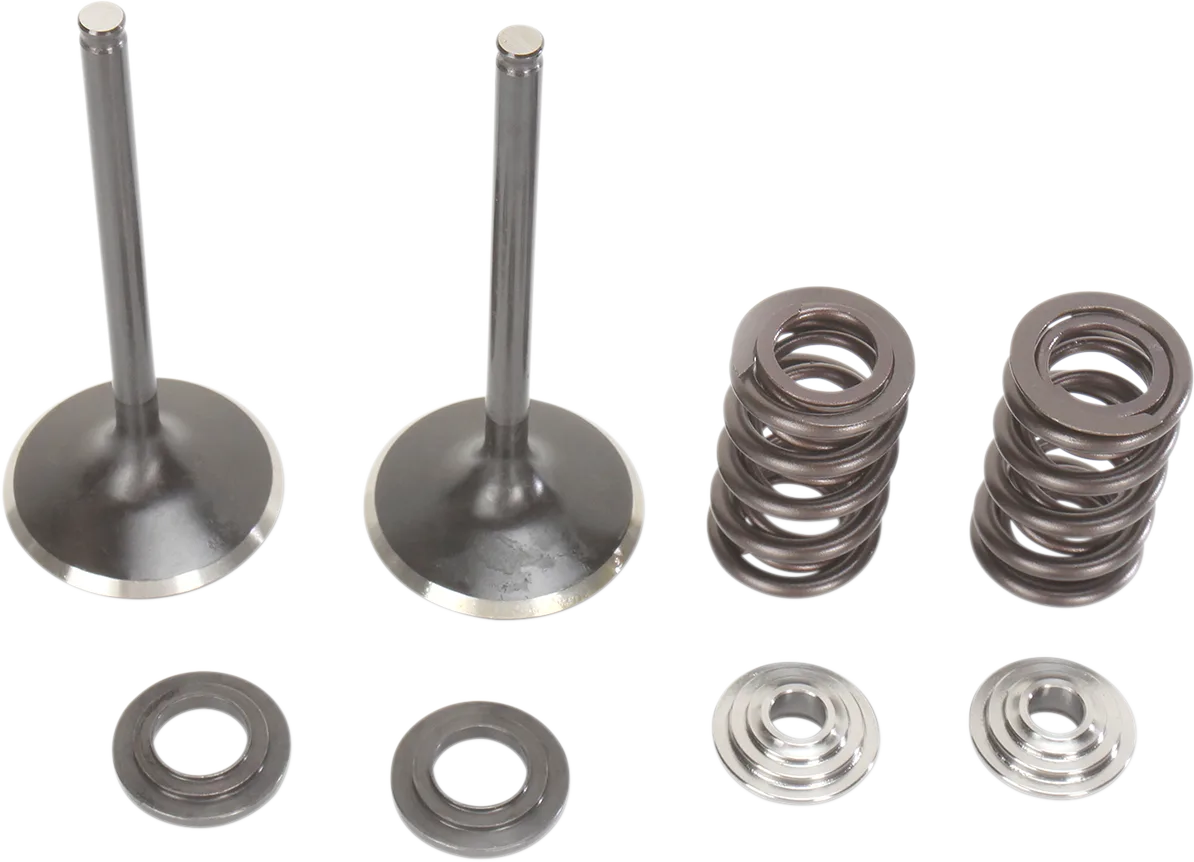 Intake Valve and Spring Kit