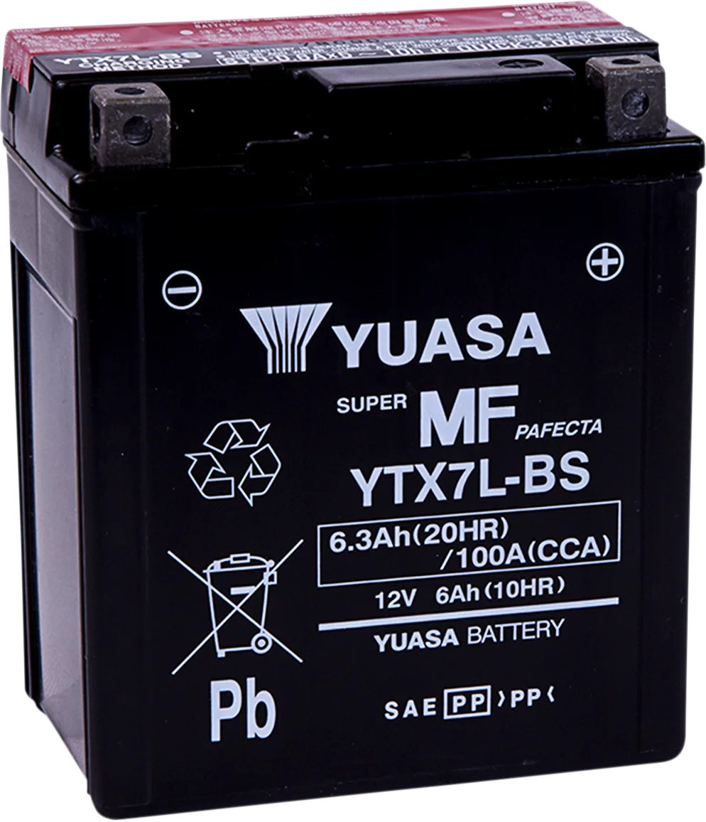 AGM Maintenance-Free Battery