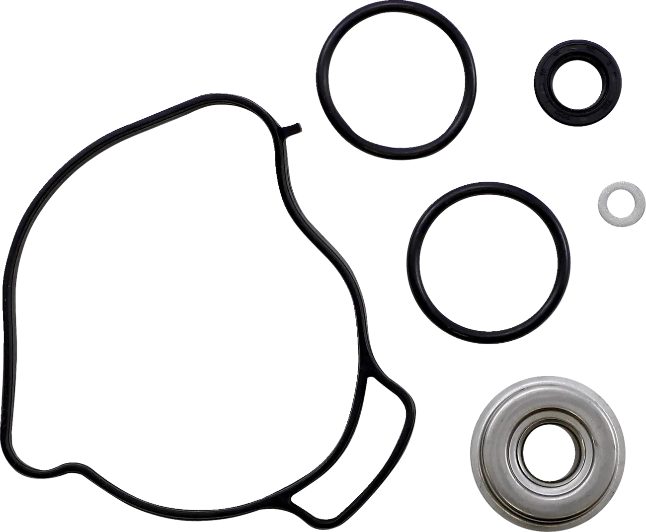 Water Pump Rebuild Kit