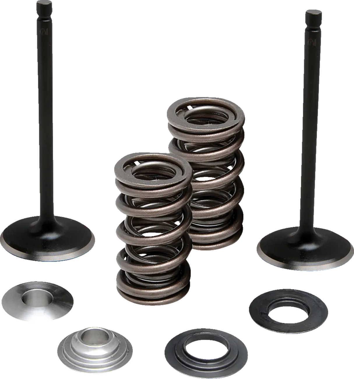 Valve and Spring Kit