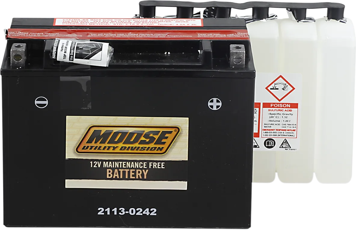 AGM Maintenance-Free Battery