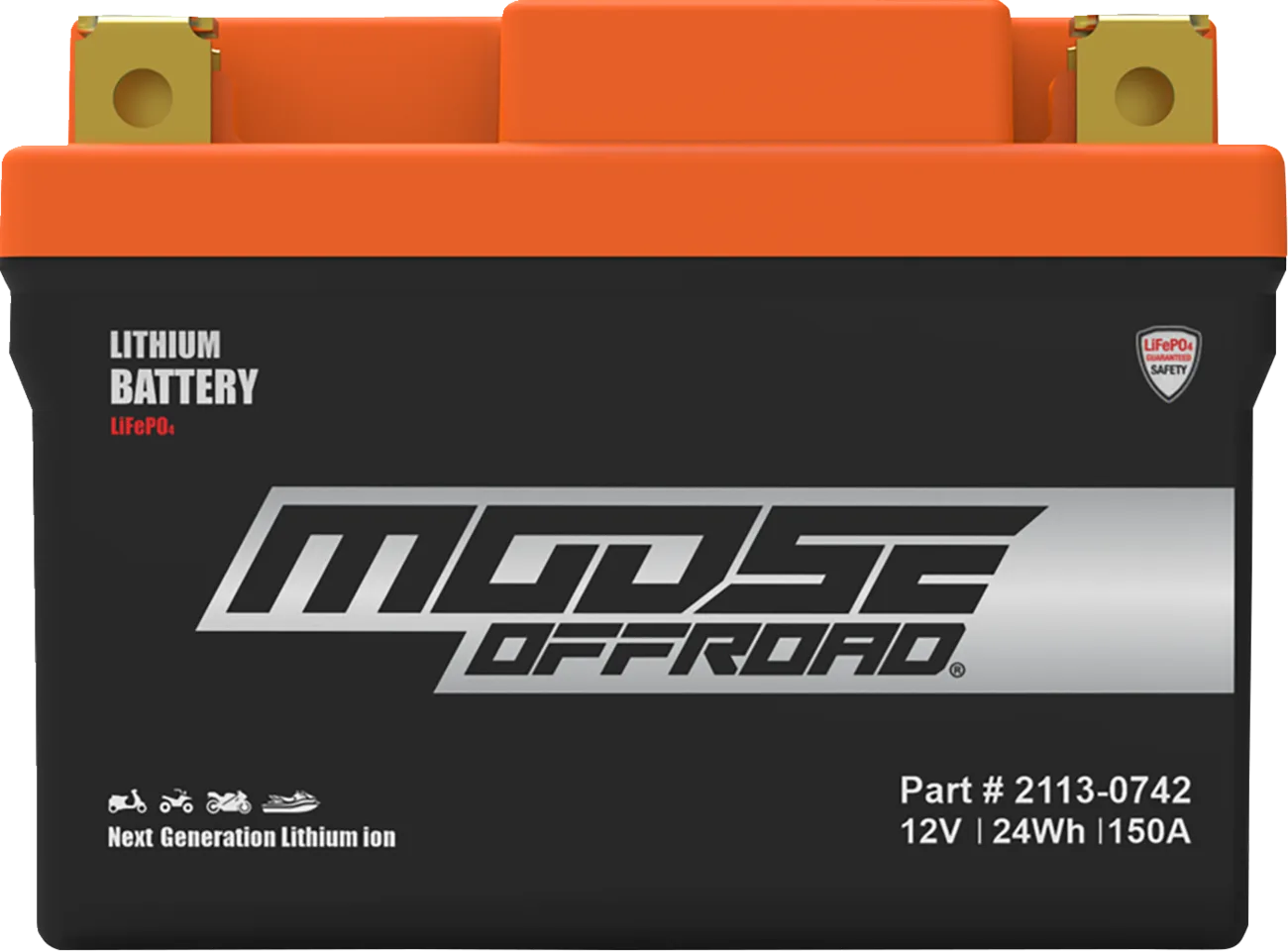 Lithium LiFePO4 Battery