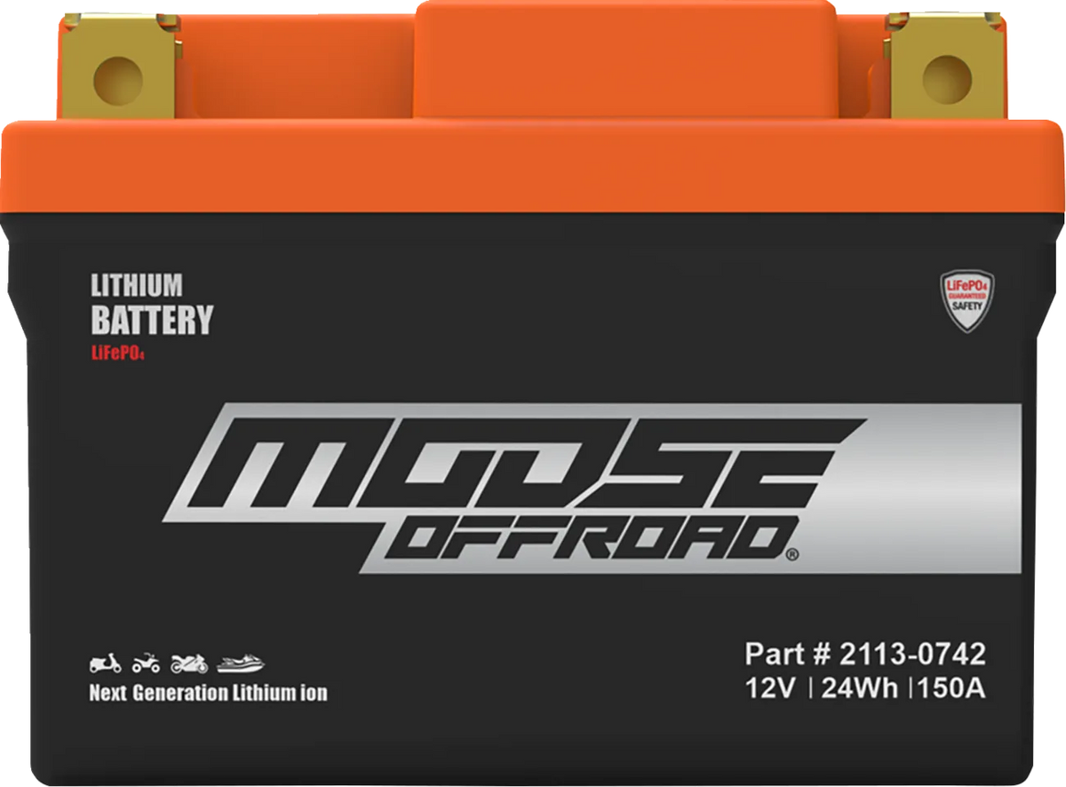 Lithium LiFePO4 Battery