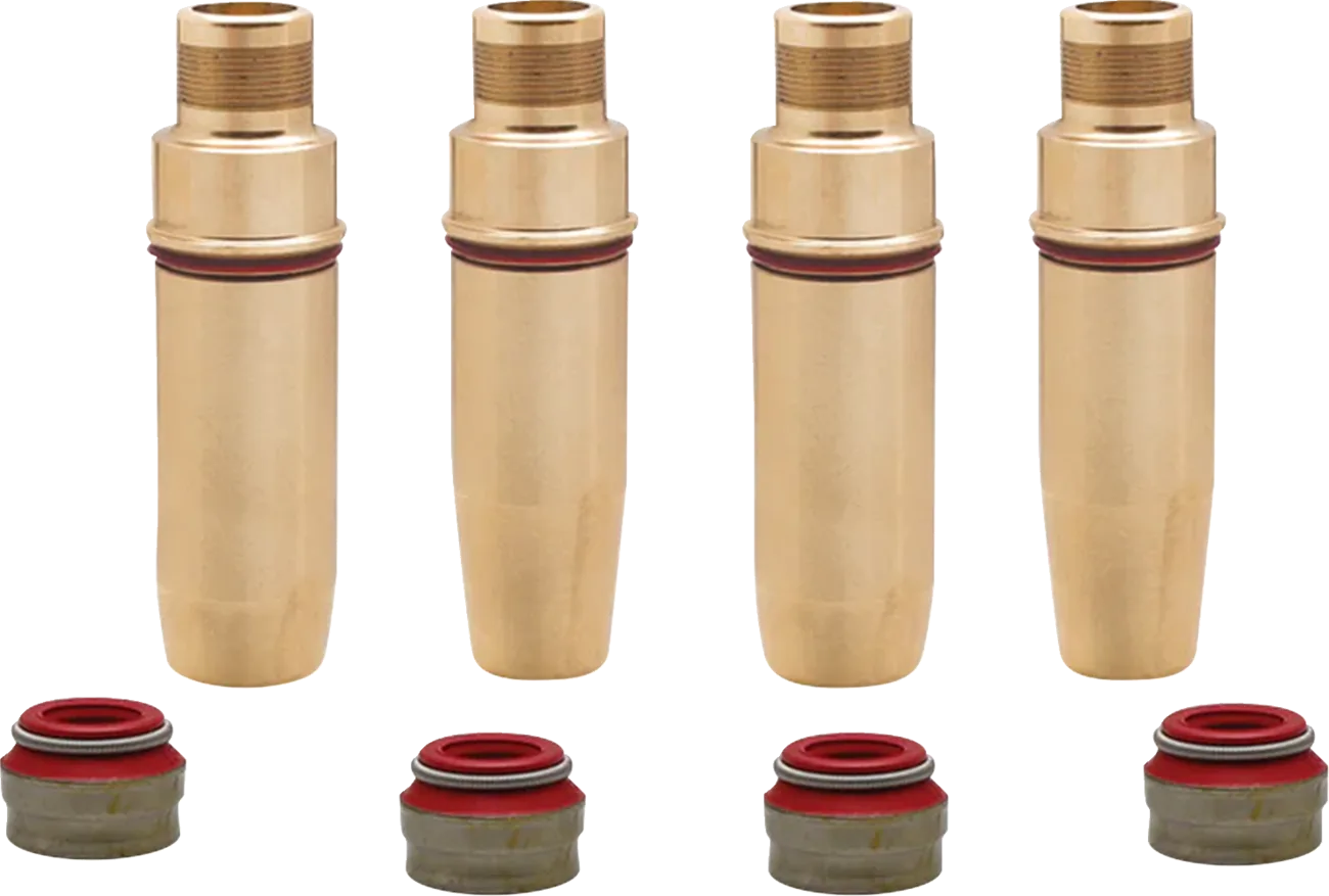 Valve Guide Kit