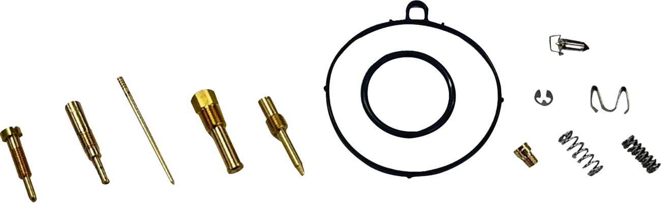Carburetor Repair Kit