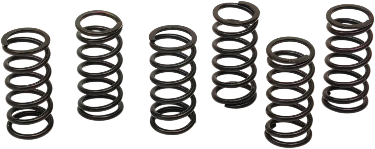 Clutch Spring Kit