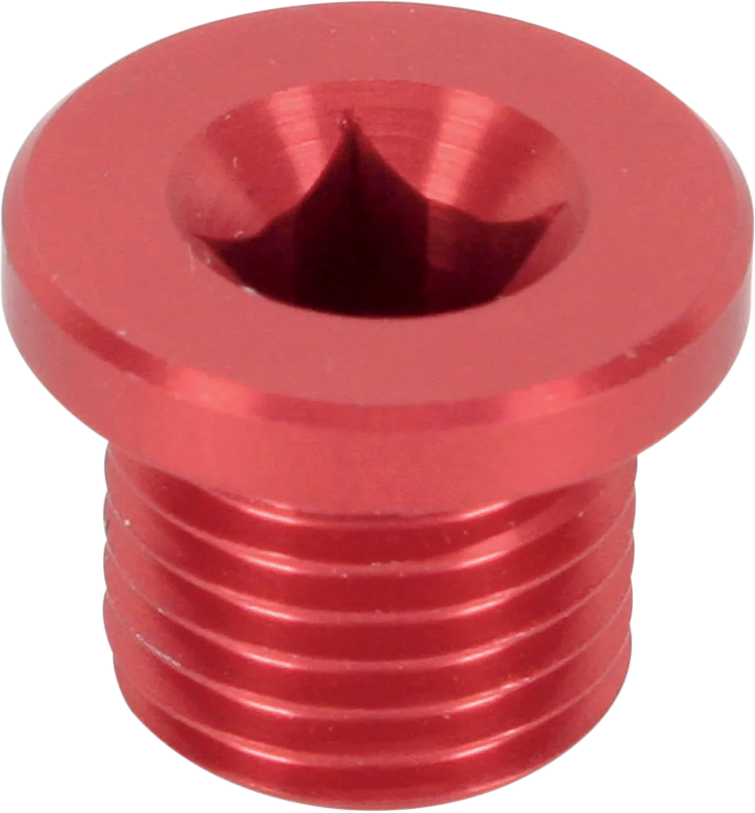 Magnetic Drain Plug