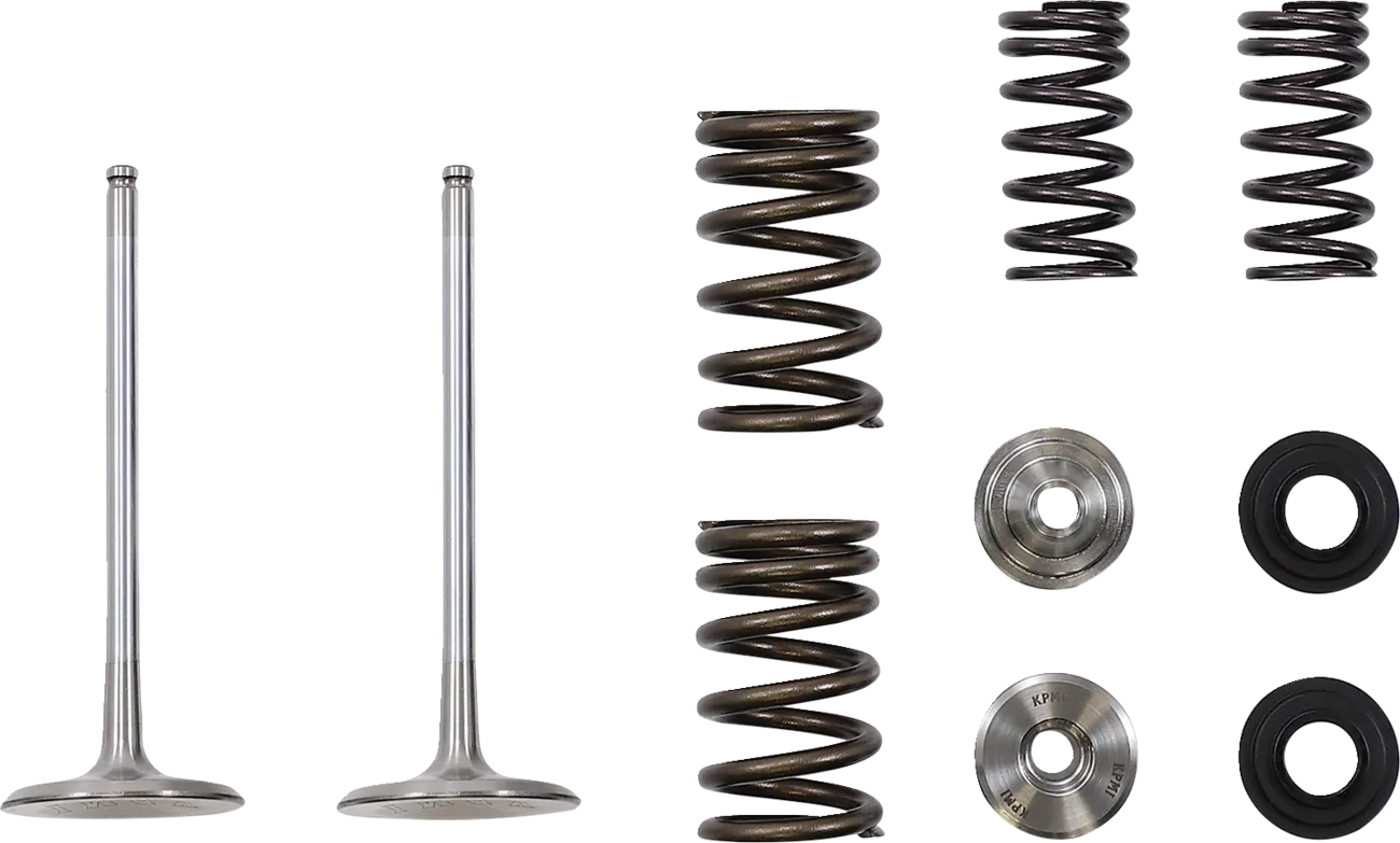 Intake Valve and Spring Kit
