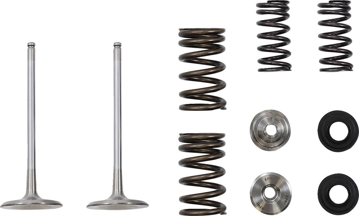Intake Valve and Spring Kit