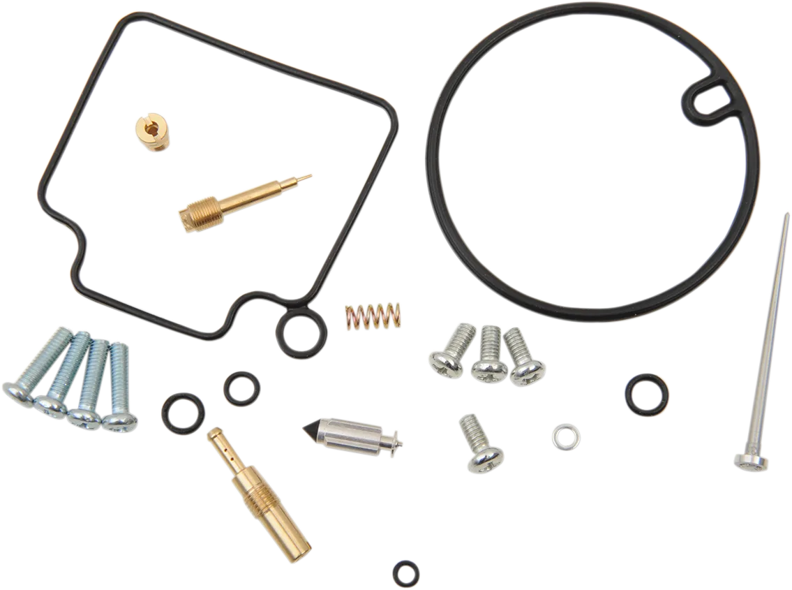 Carburetor Repair Kit