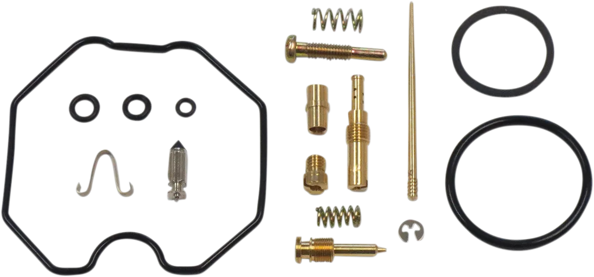 Carburetor Repair Kit