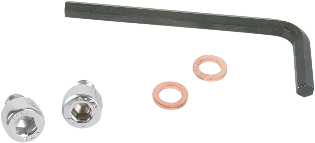 Fork Drain Plugs