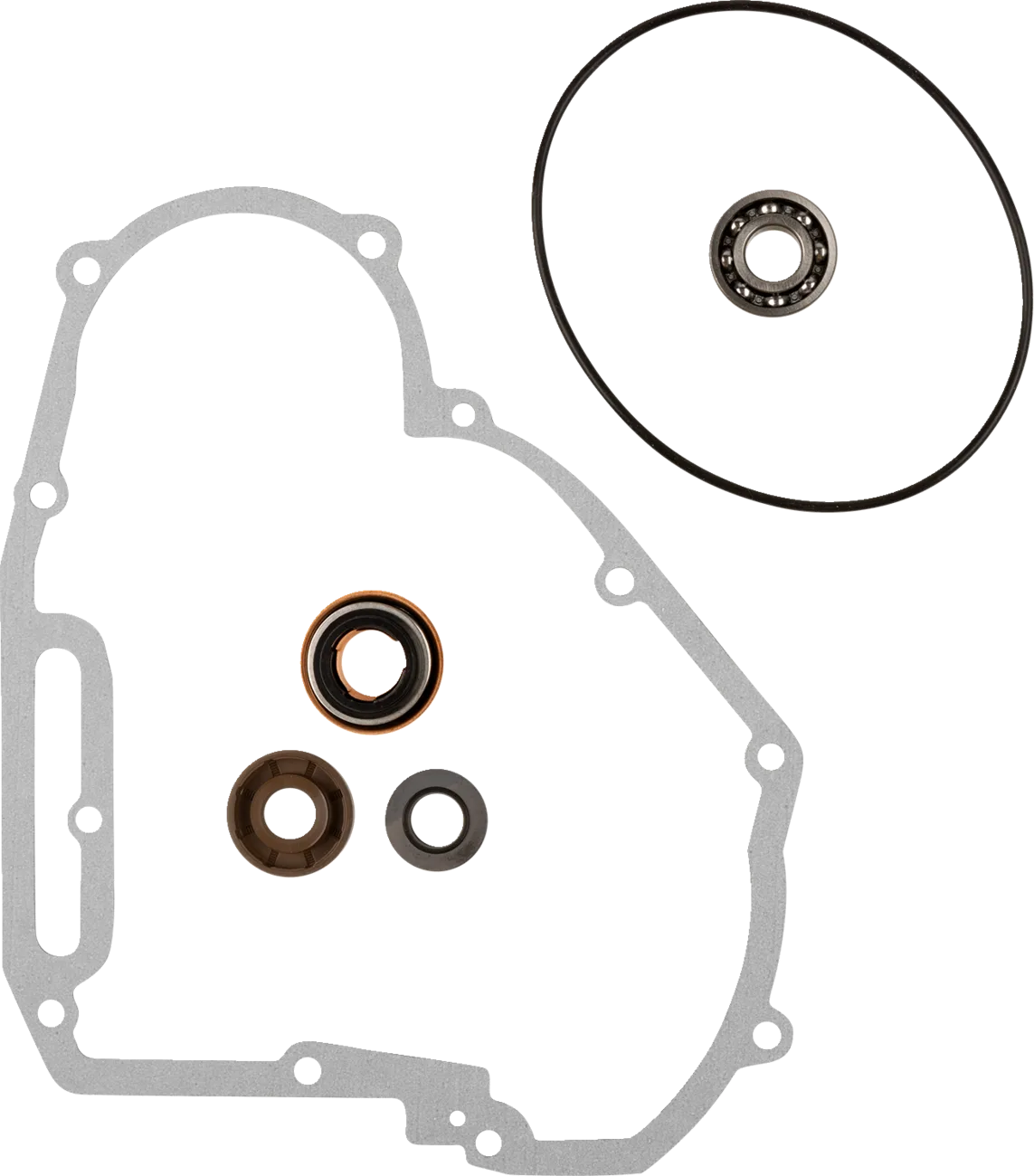Water Pump Rebuild Kit