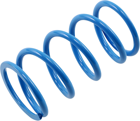 Primary Clutch Spring
