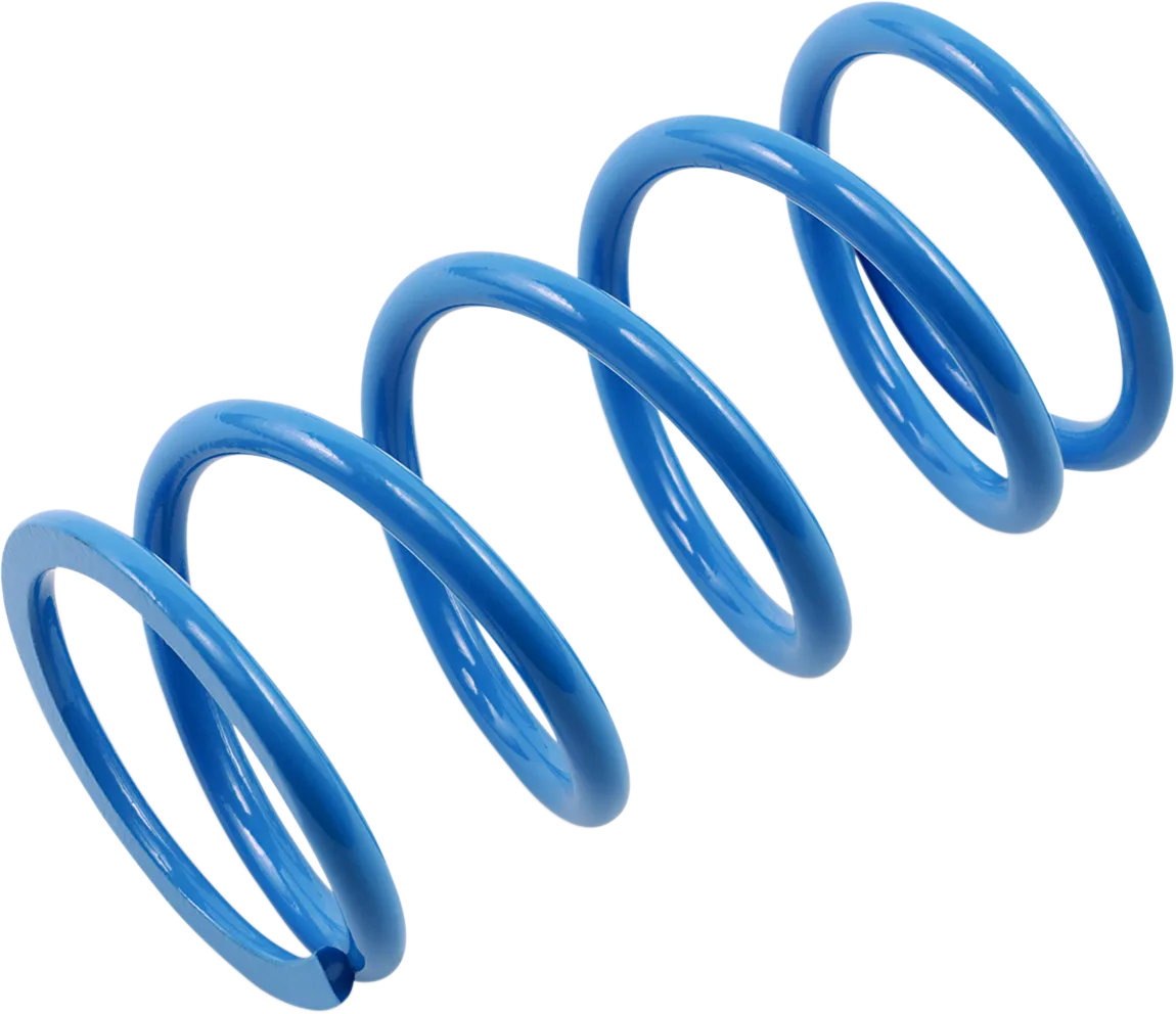 Primary Clutch Spring