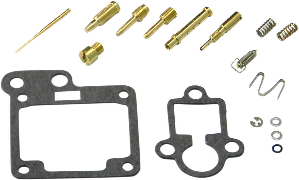 Carburetor Repair Kit