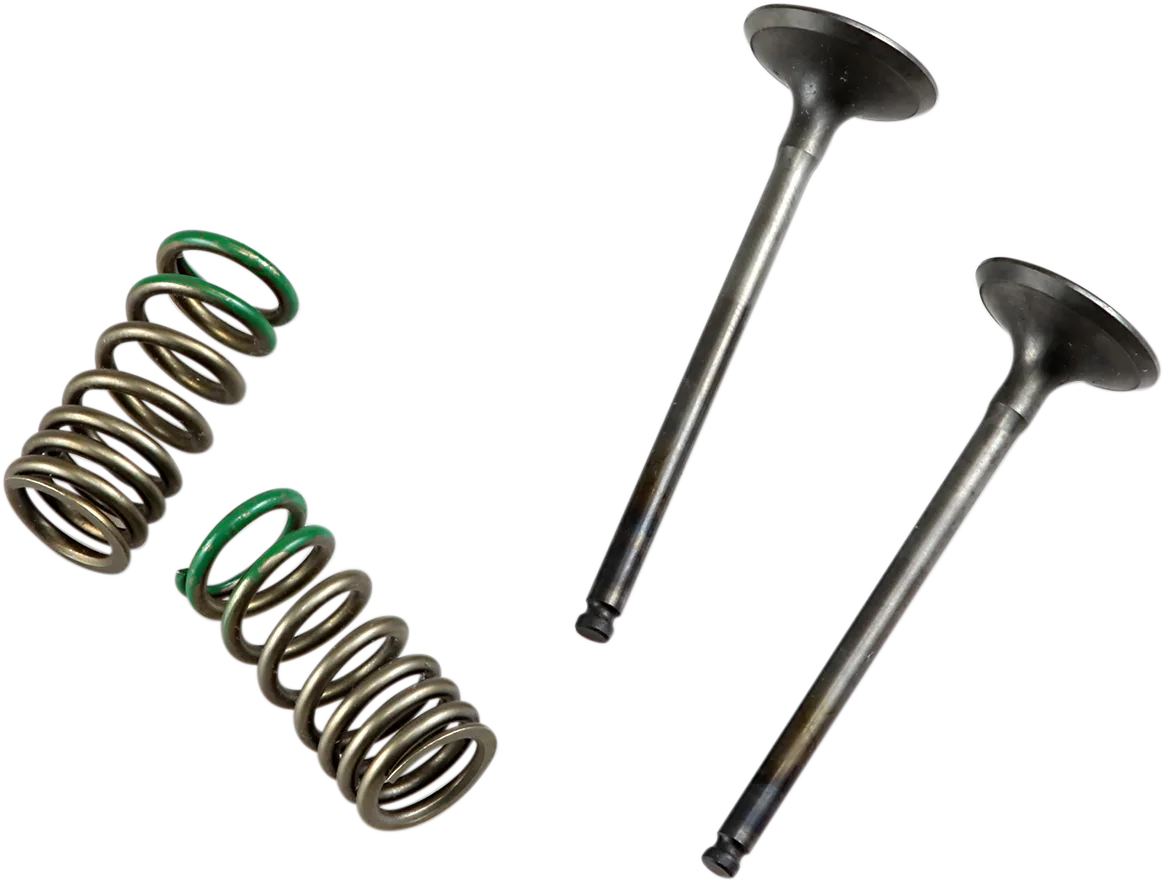 Valve and Spring Kit