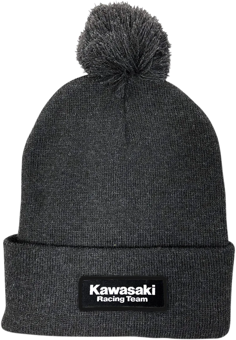 Beanie — Charcoal,