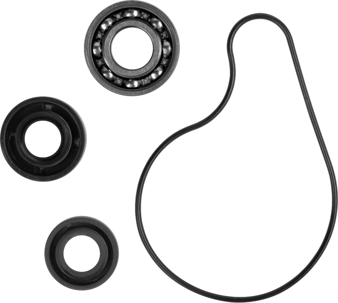 Water Pump Repair Kit