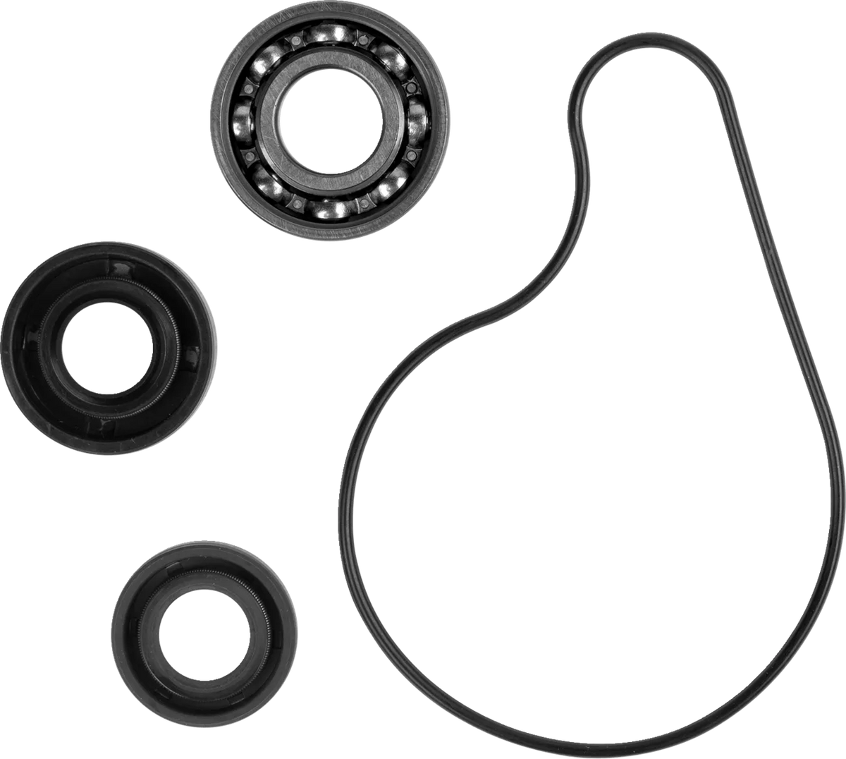 Water Pump Repair Kit