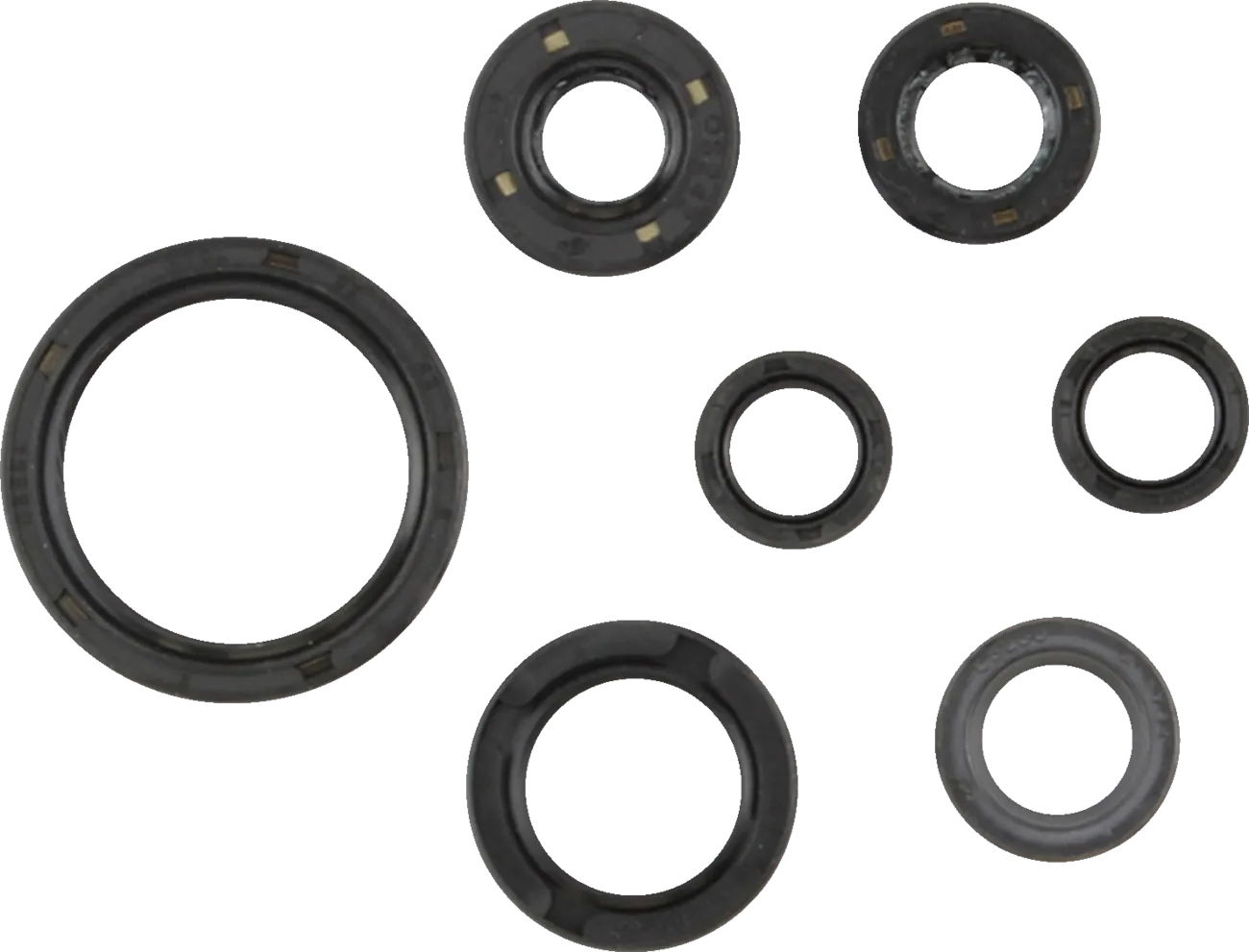 Oil Seal Kit