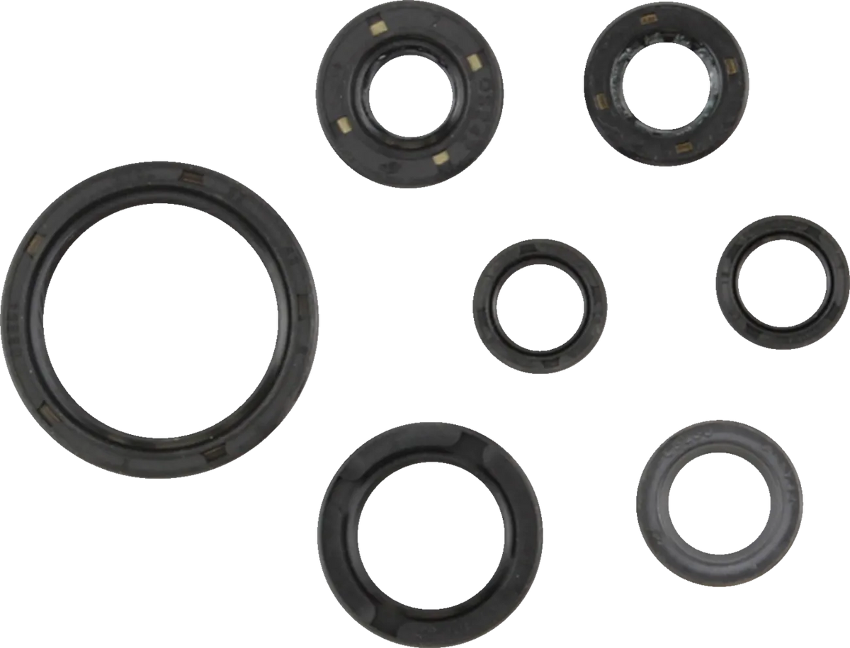 Oil Seal Kit