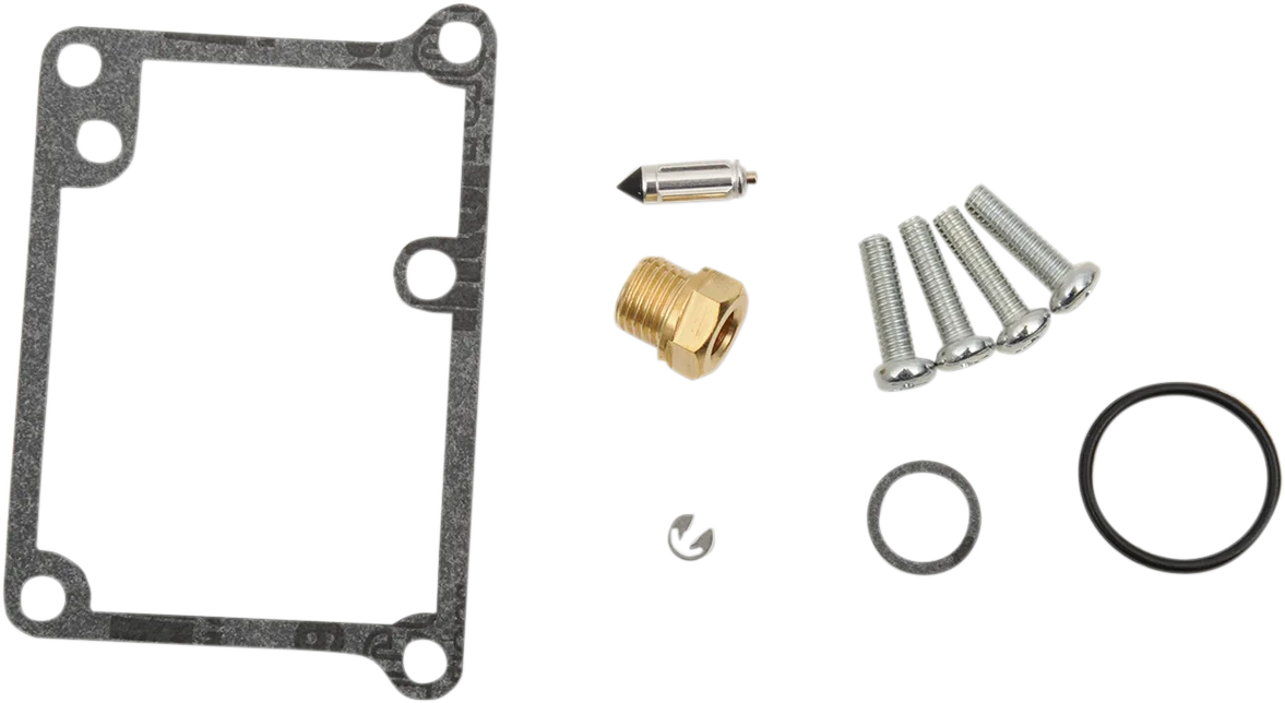 Carburetor Repair Kit