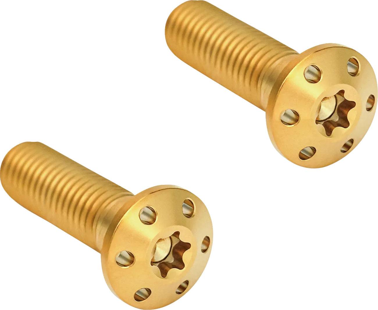 Brake Caliper Mounting Bolts