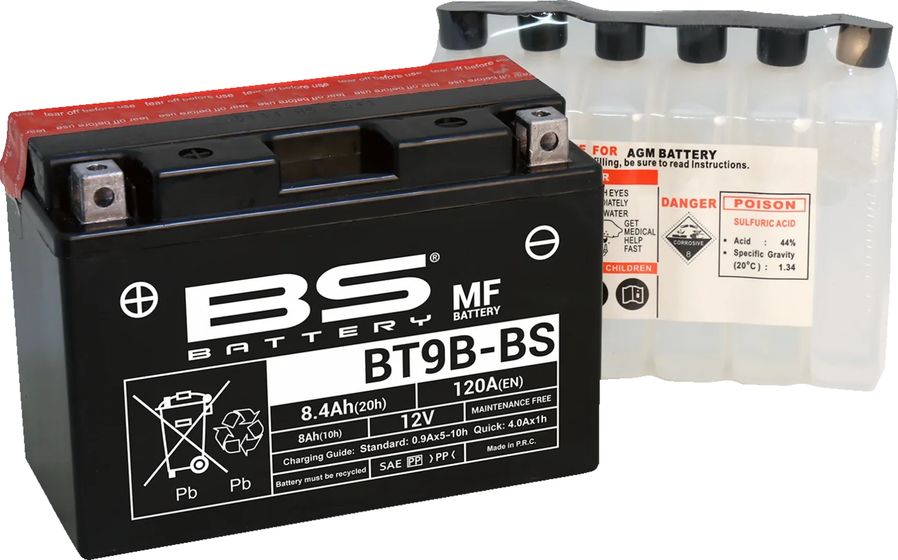 Maintenance-Free Battery