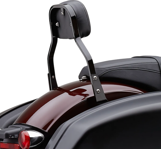 Detachable Backrest Kit