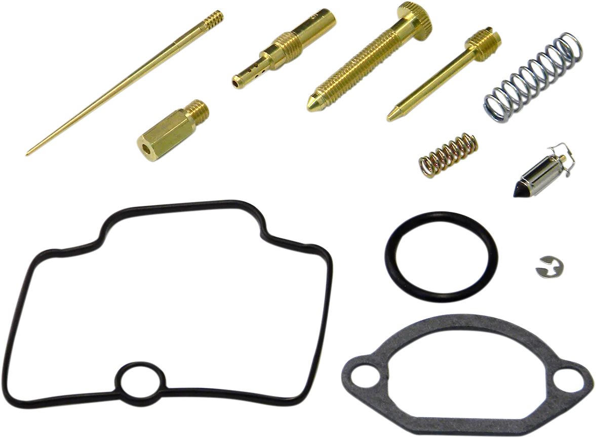 Carburetor Repair Kit
