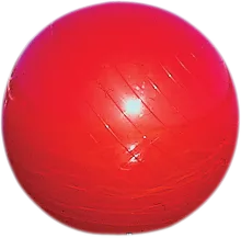 20" Diameter Buoy