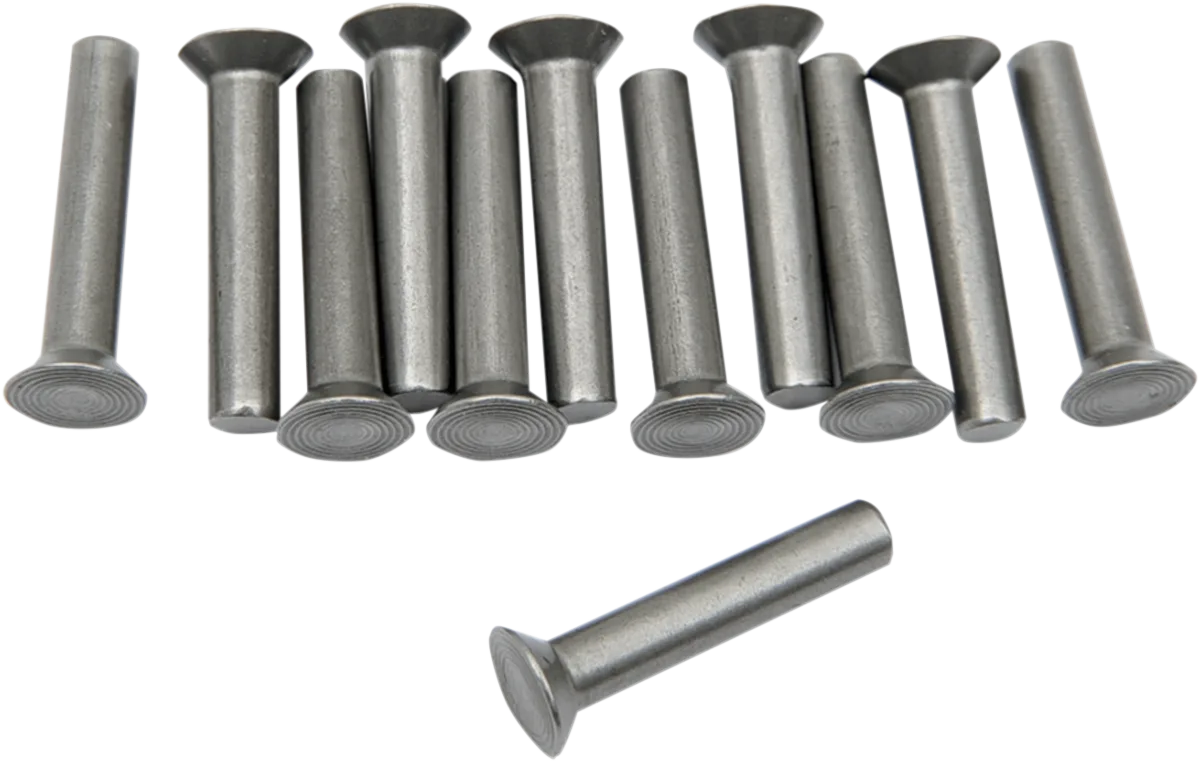 Rivets for Kickstart Ratchet Plate
