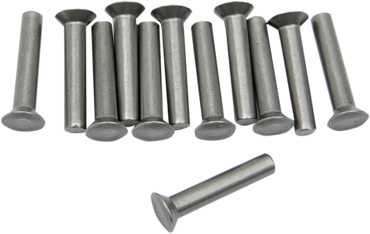 Rivets for Kickstart Ratchet Plate