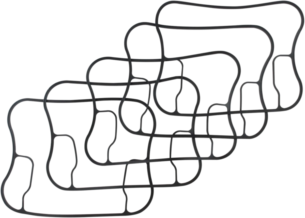 Rocker Gasket