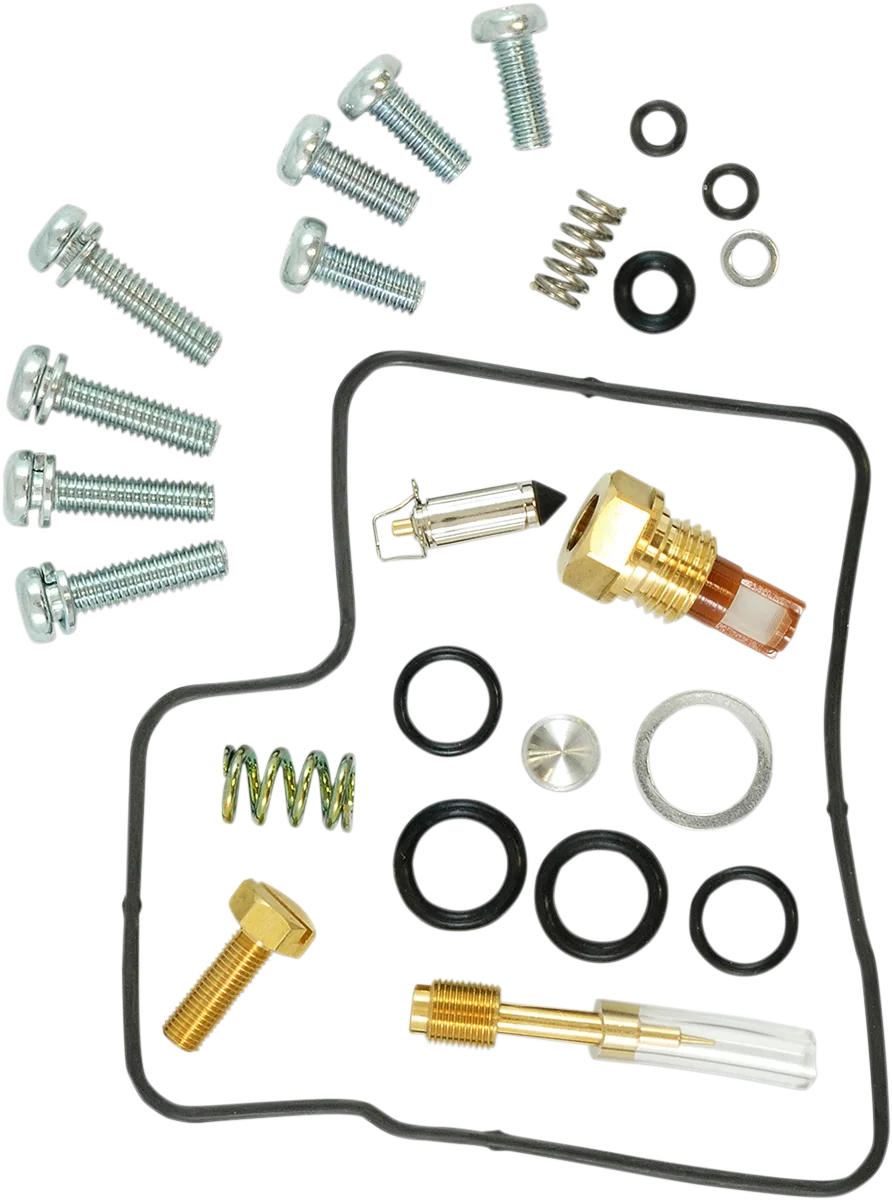Carburetor Repair Kit