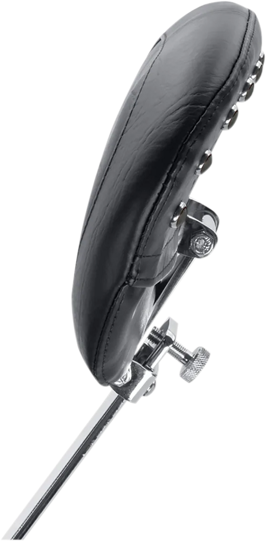 Removable Driver Backrest