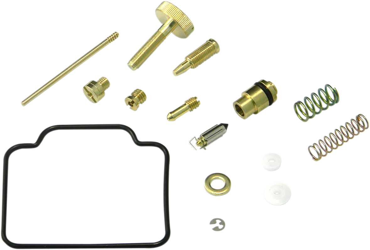 Carburetor Repair Kit