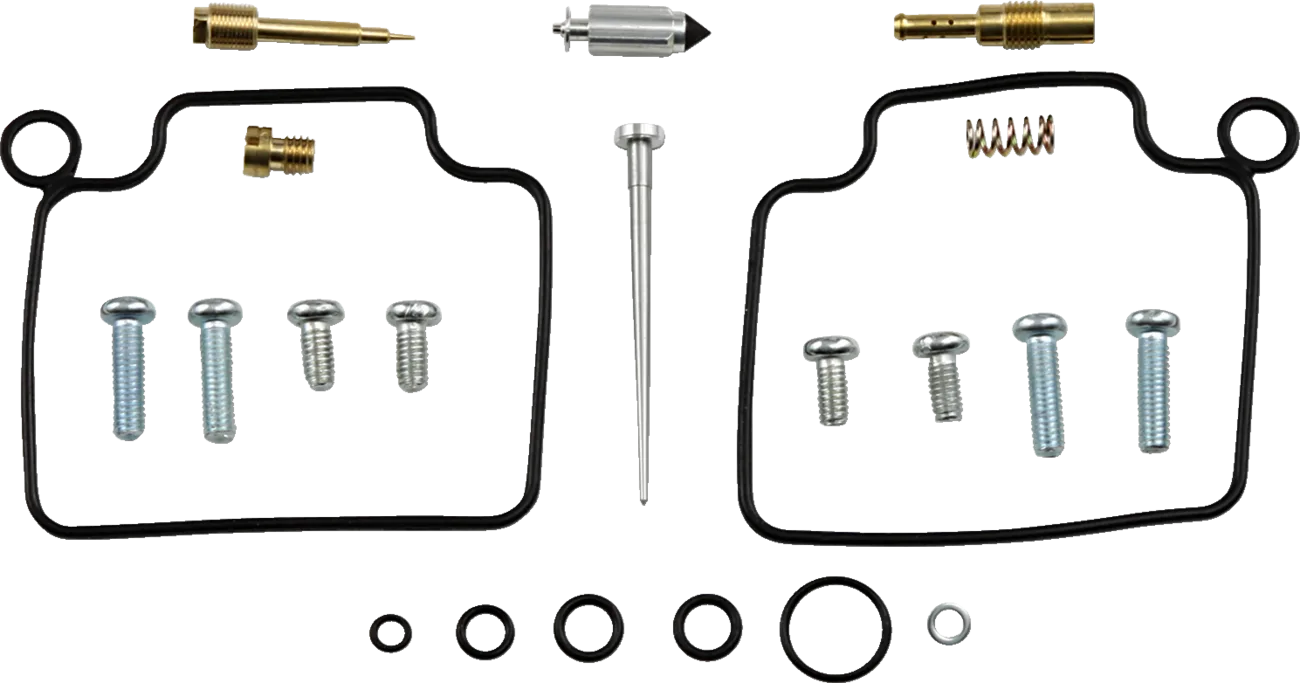Carburetor Repair Kit