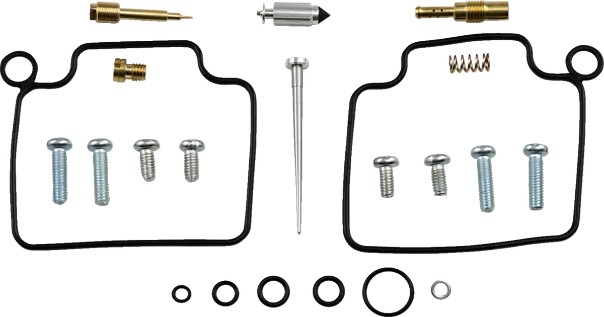 Carburetor Repair Kit