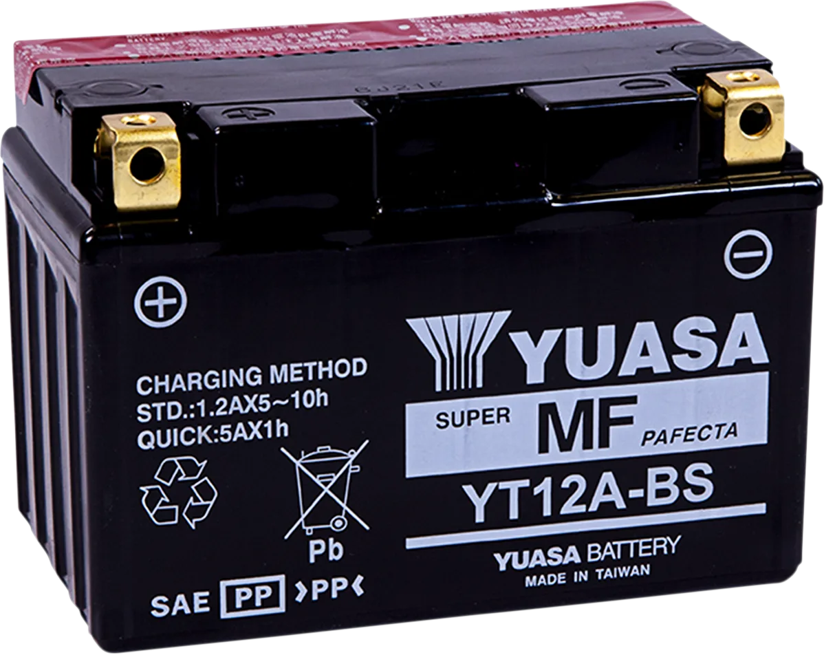 AGM Maintenance-Free Battery