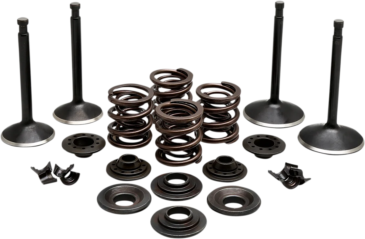 Engine Valve Kit